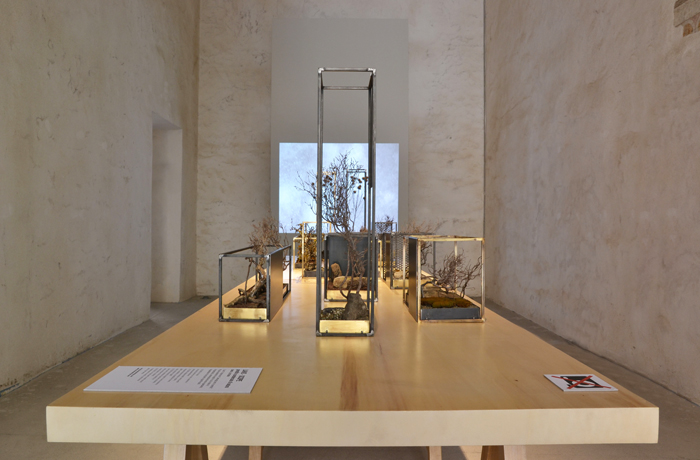 landscope 02 lostudiodesign+cardo