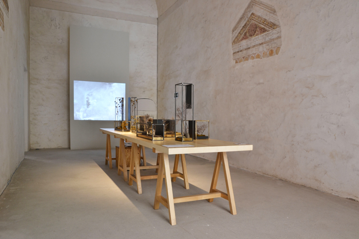 landscope 05 lostudiodesign+cardo
