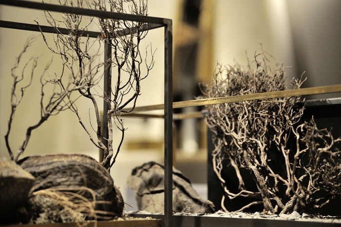 interno 18 lo studio design 10