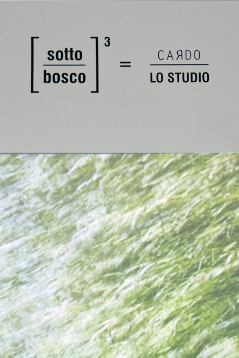 01 Sotto Bosco Lo Studio design/Cardo Hortus 2017